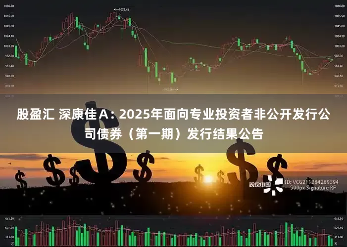 股盈汇 深康佳Ａ: 2025年面向专业投资者非公开发行公司债券（第一期）发行结果公告