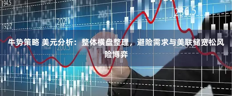牛势策略 美元分析：整体横盘整理，避险需求与美联储宽松风险博弈